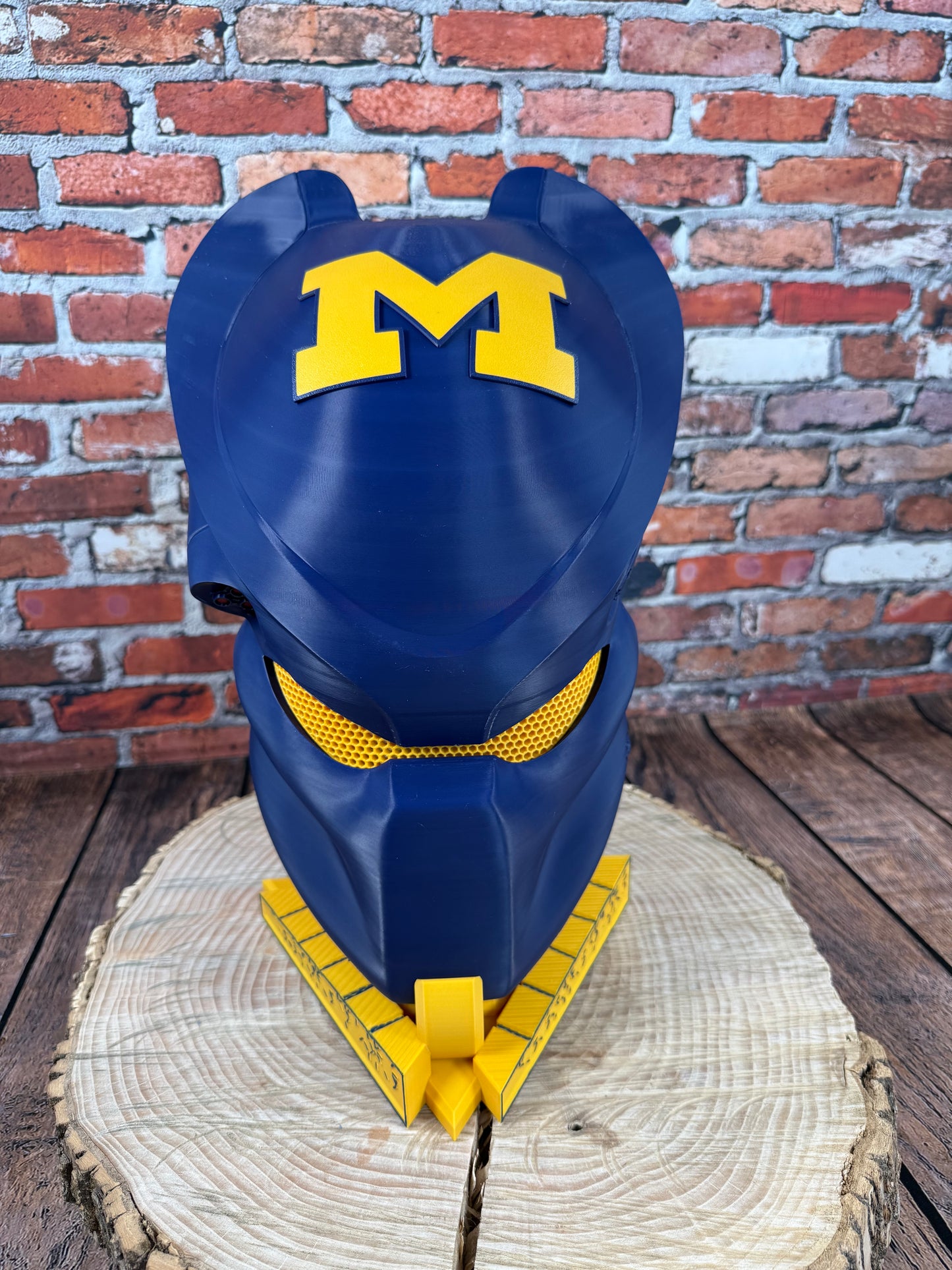 Custom Predator Mask