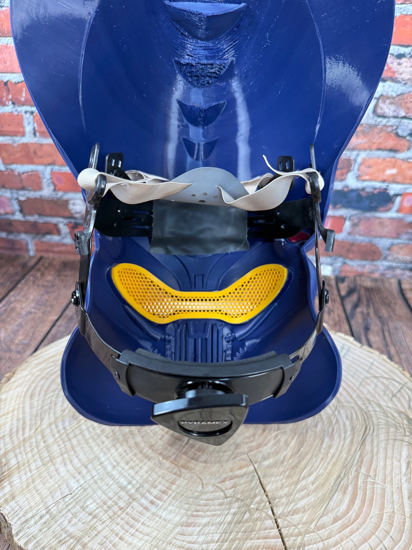 Custom Predator Mask
