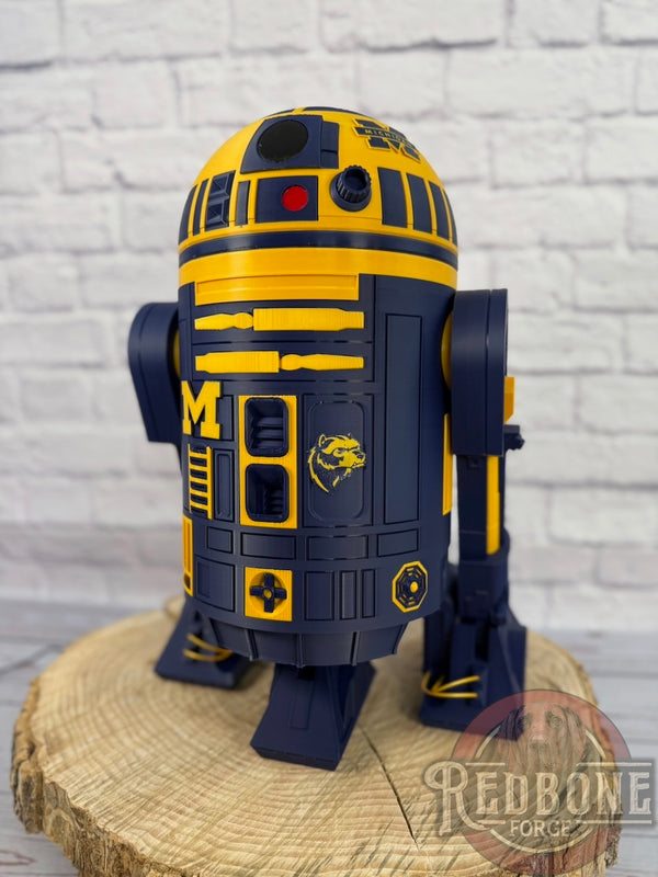 Michigan Wolverines R2 3D Printed Helmet