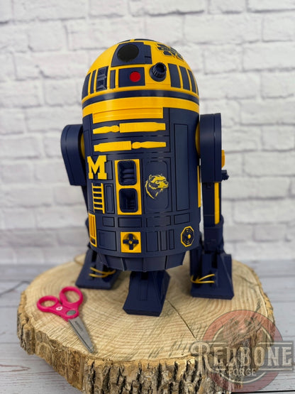 Michigan Wolverines R2 3D Printed Helmet