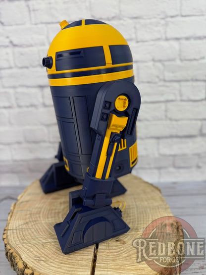 Michigan Wolverines R2 3D Printed Helmet