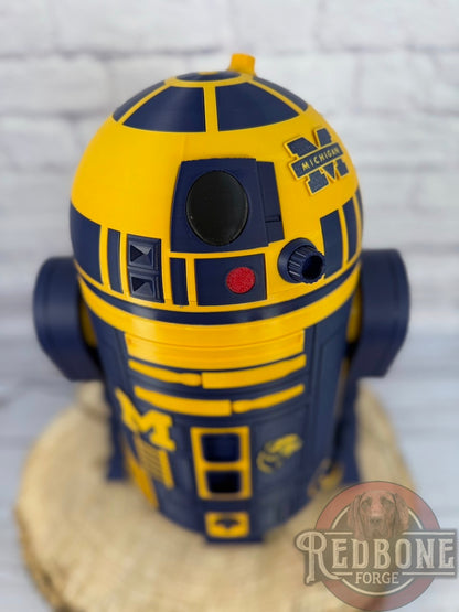 Michigan Wolverines R2 3D Printed Helmet
