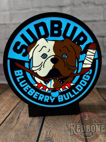 Sudbury Blueberry Bulldogs Shoresy Decorative Light Box