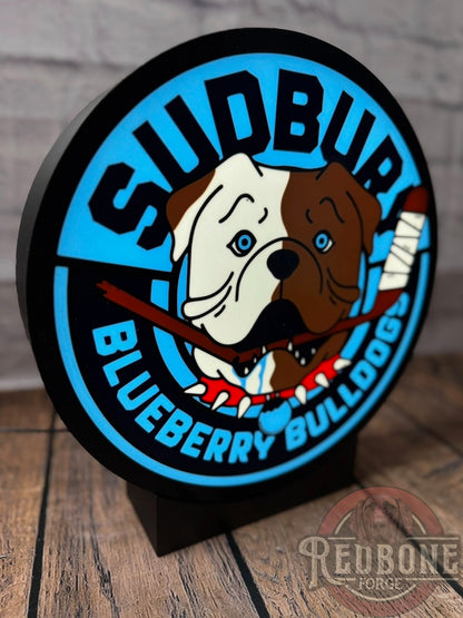 Sudbury Blueberry Bulldogs Shoresy Decorative Light Box