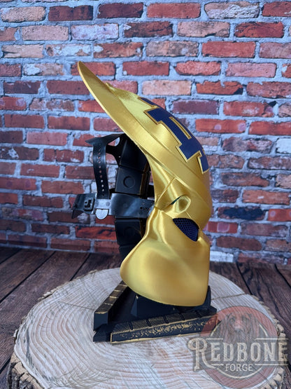 Custom Predator Mask