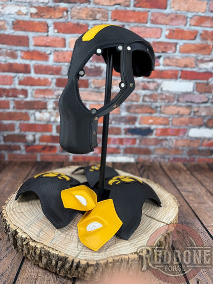 Iowa-Inspired Black & Gold Masked Mercenary Mask