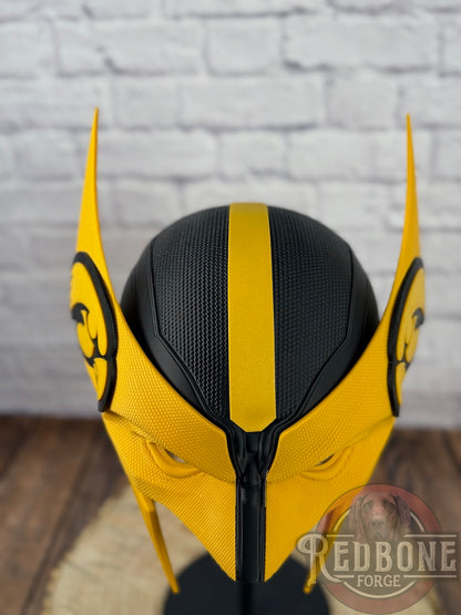 Iowa State Hawkeyes Wolverine
